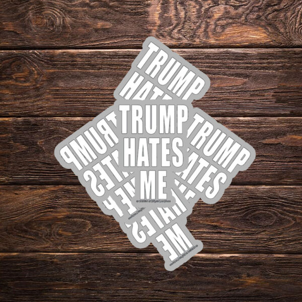 Destroyartinc Winston Smith Trump Hates Me Sticker ,Car Magnet