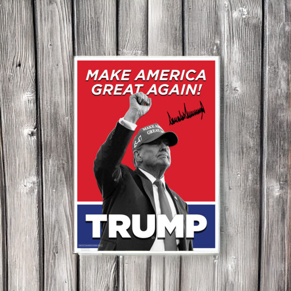 TRUMP 45 47 Make America Great Again Poster