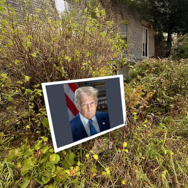 The Inaugural Portrait of the 47th President of the United States, Donald J. Trump has been released prior to Monday’s Inauguration Yard Sign